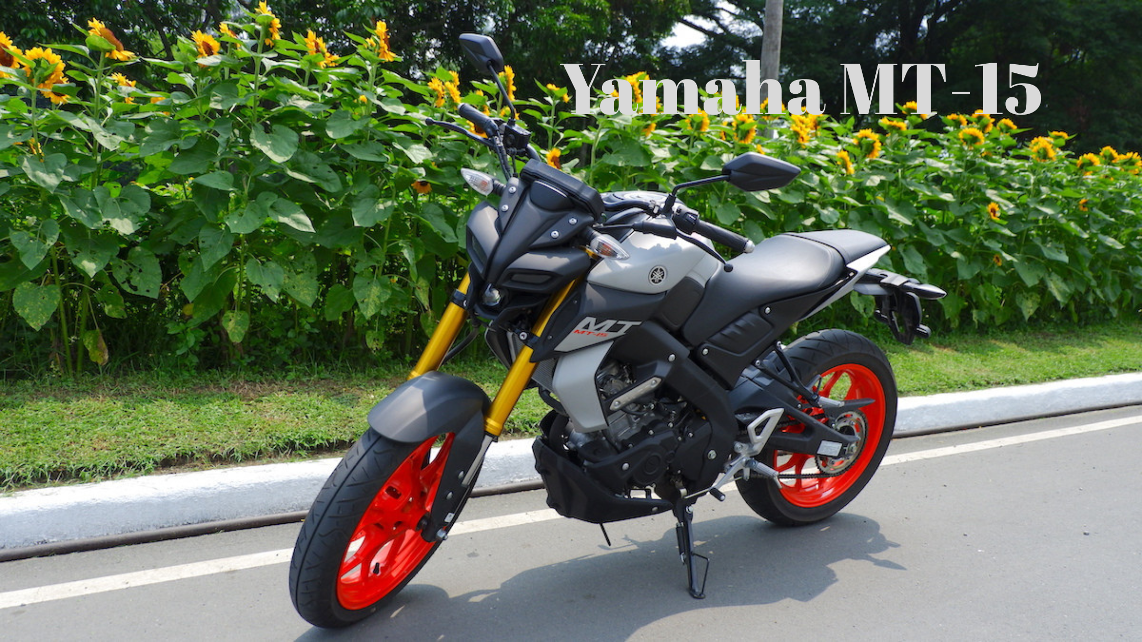Yamaha MT-15