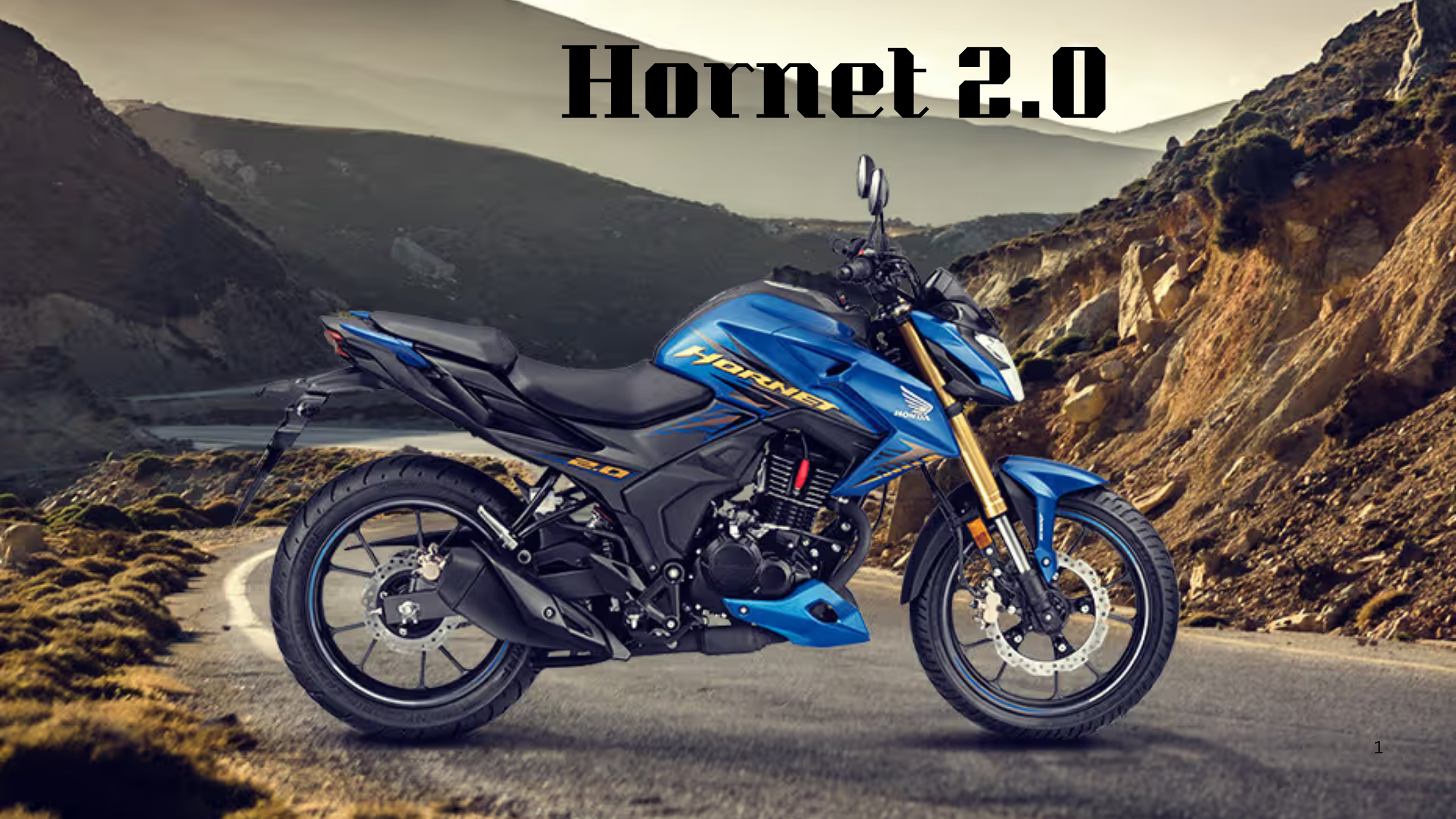 Hornet 2.0